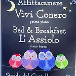 Vivi Conero *