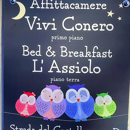 Vivi Conero *