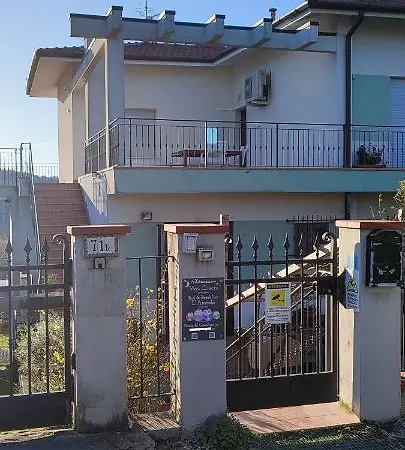 Vivi Conero Ancona